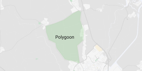 Polygoon